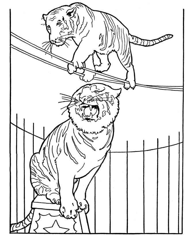 circus-coloring-page-0026-q1