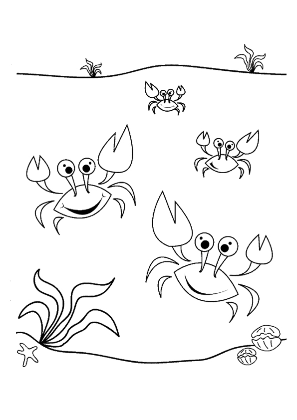 crab-coloring-page-0009-q2