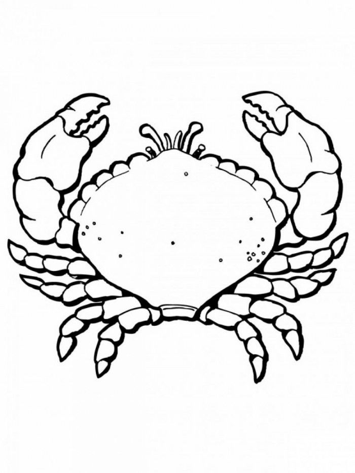 crab-coloring-page-0021-q1