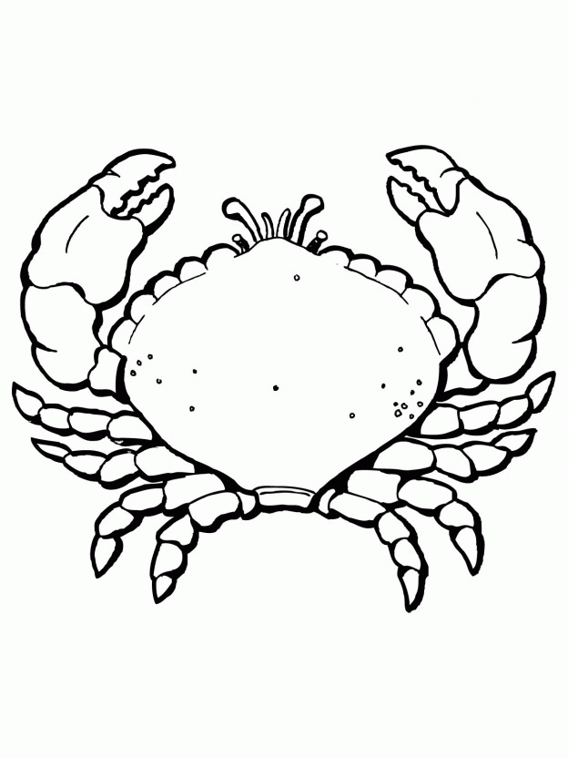 crab-coloring-page-0025-q1