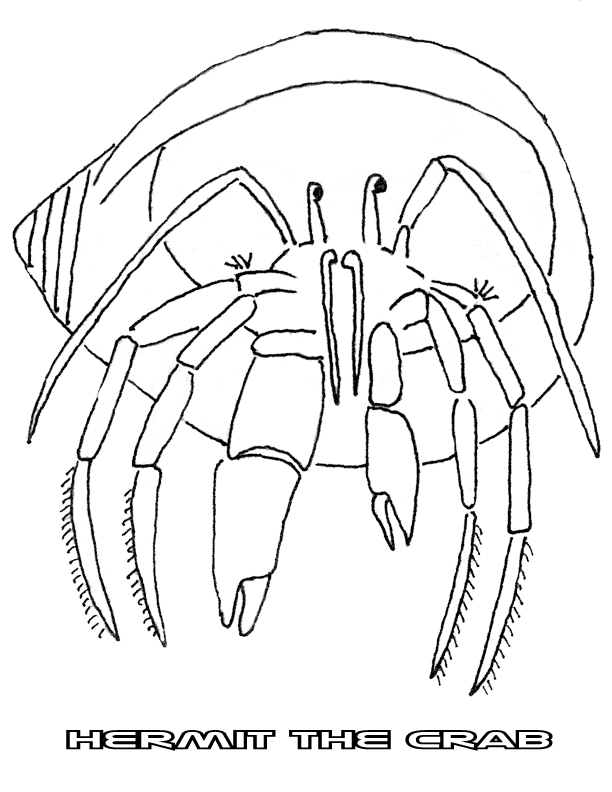 crab-coloring-page-0028-q1