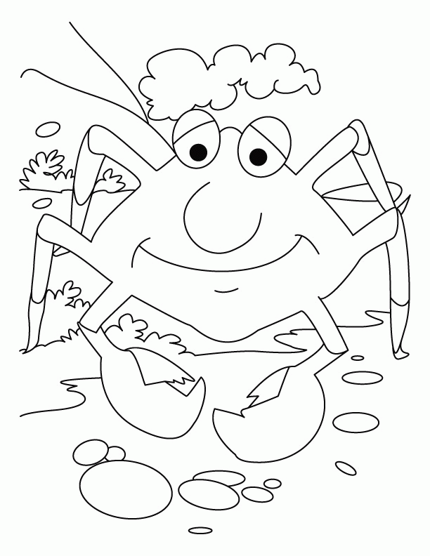 crab-coloring-page-0031-q1