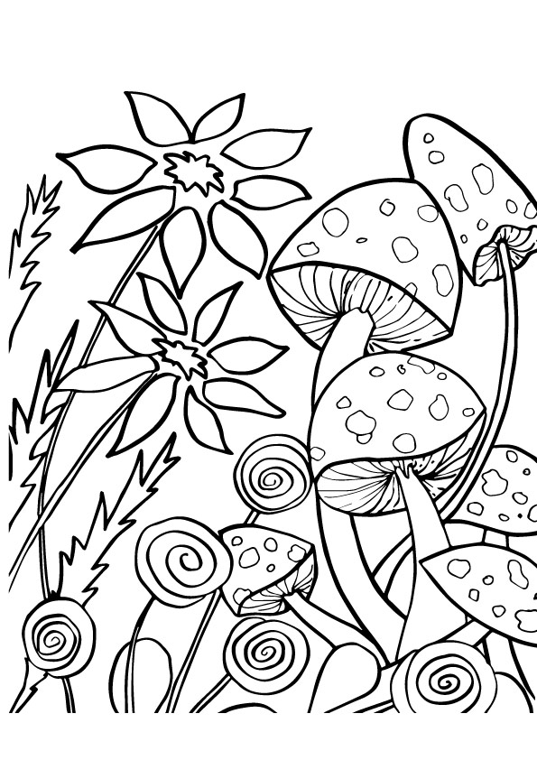 mushroom-coloring-page-0030-q2