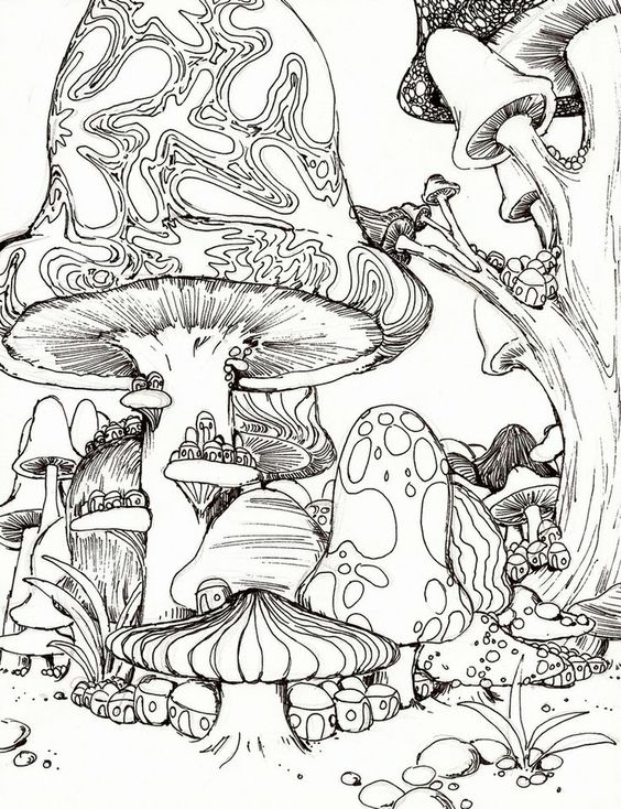 mushroom-coloring-page-0031-q1