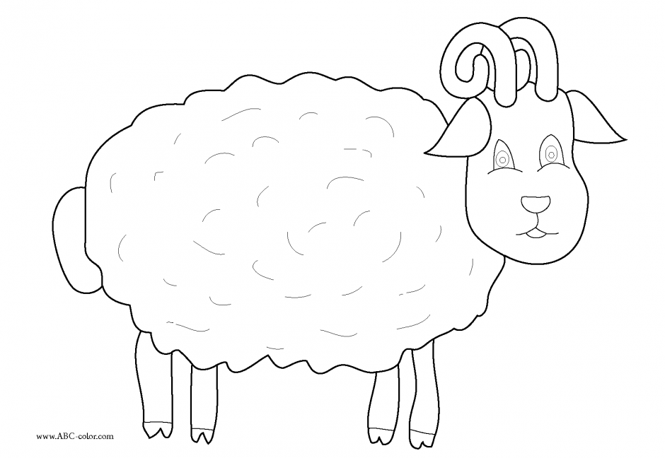 sheep-coloring-page-0004-q1