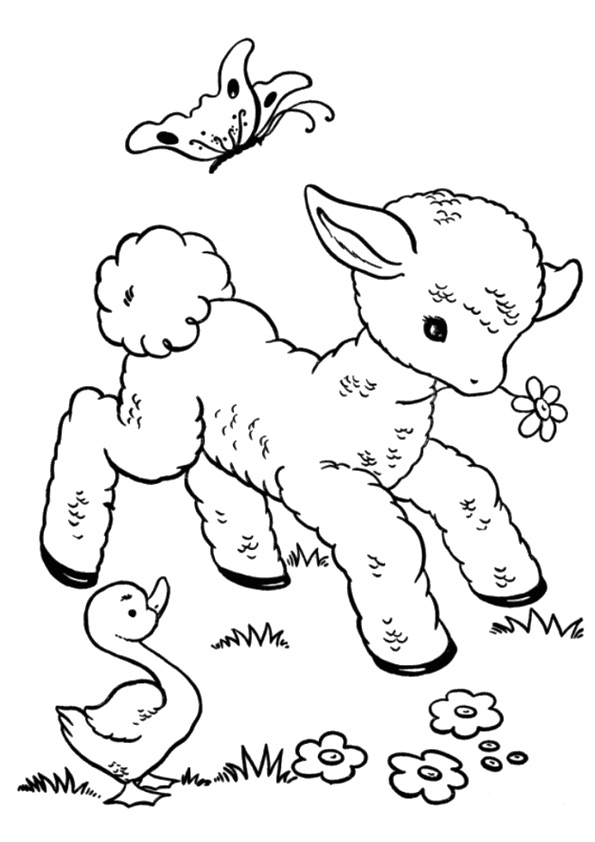 sheep-coloring-page-0017-q2