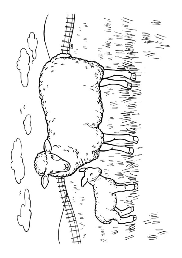 sheep-coloring-page-0022-q2