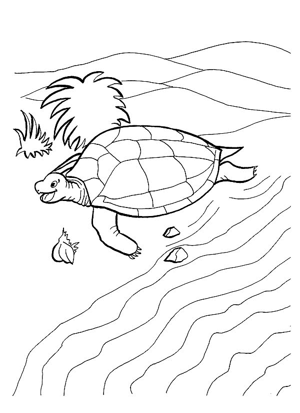 tortoise-and-turtle-coloring-page-0014-q1