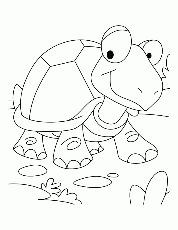 tortoise-and-turtle-coloring-page-0018-q1