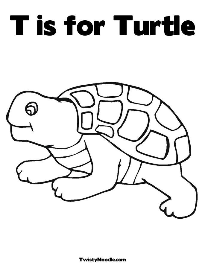 tortoise-and-turtle-coloring-page-0024-q1