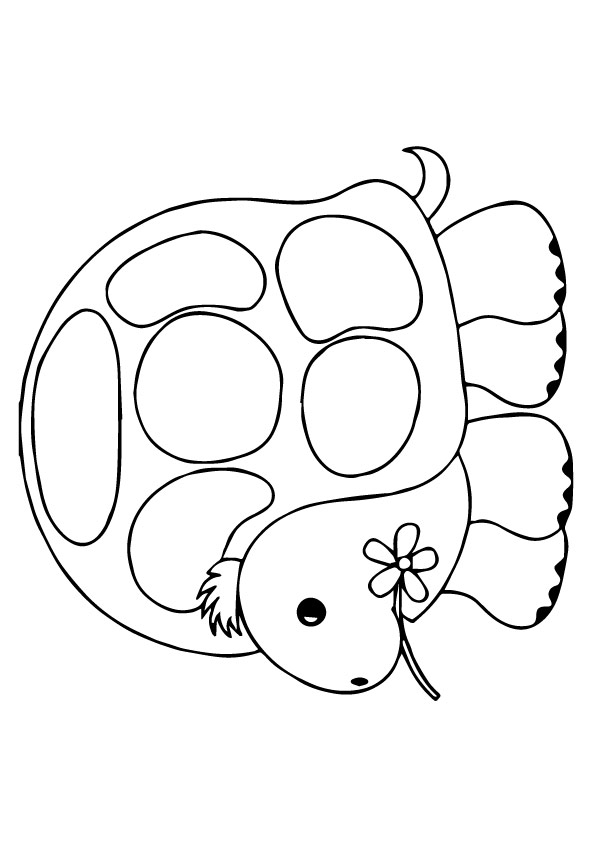 tortoise-and-turtle-coloring-page-0026-q2